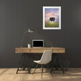 thumbnail image 3 of Frank, Assaf 19x24 White Modern Wood Framed Museum Art Print Titled - Tree in a filed at sunrise, 3 of 4