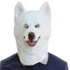 thumbnail image 2 of Máscara de Halloween, máscara de cabeza de animal de látex de perro husky, máscaras de goma para disfraz novedoso, fiesta de carnaval de Halloween, máscara de látex divertida y complicada para perro m, 2 of 5