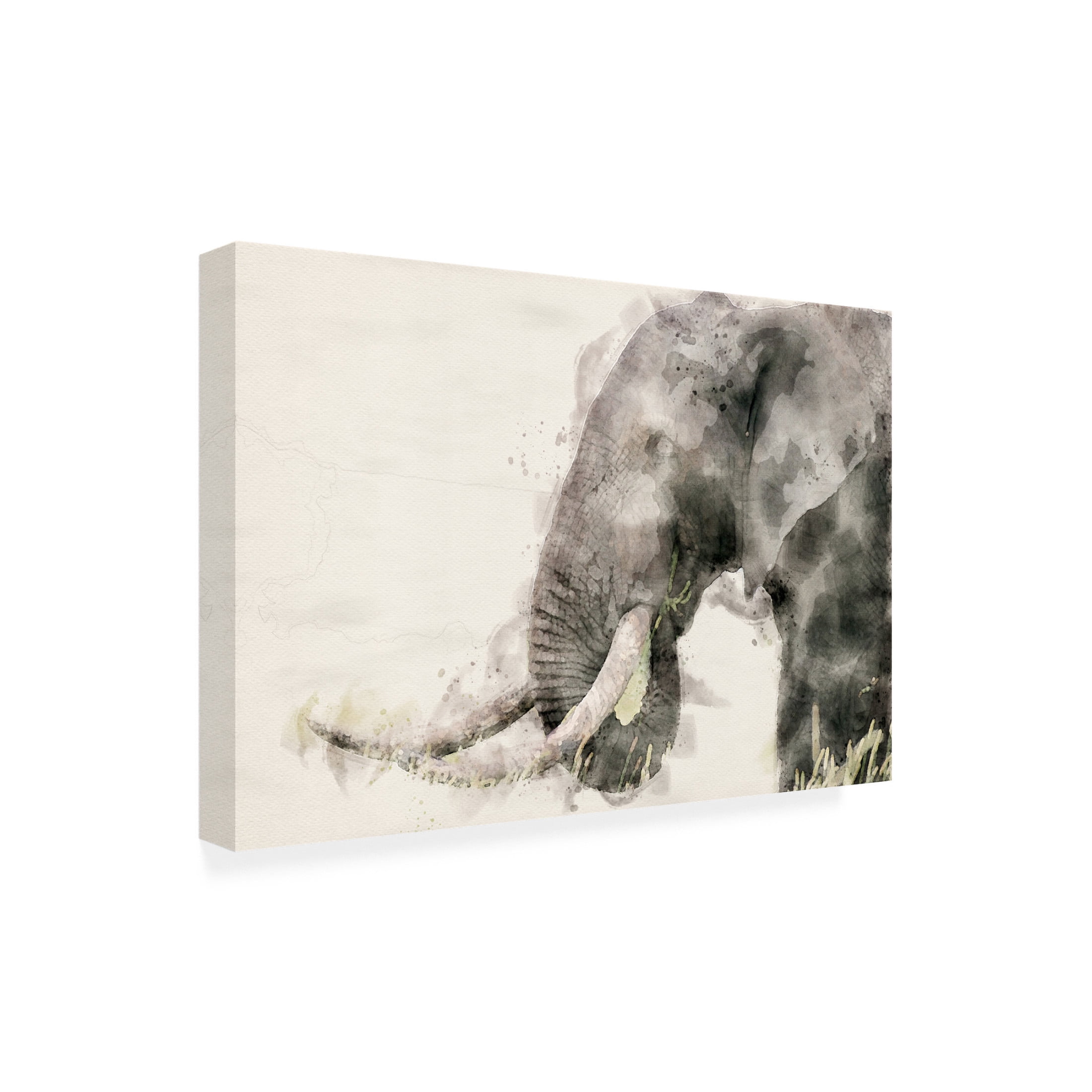 Trademark Fine Art Arno Du Toit Abstract African Elephant Watercolor Art Canvas Wall Art