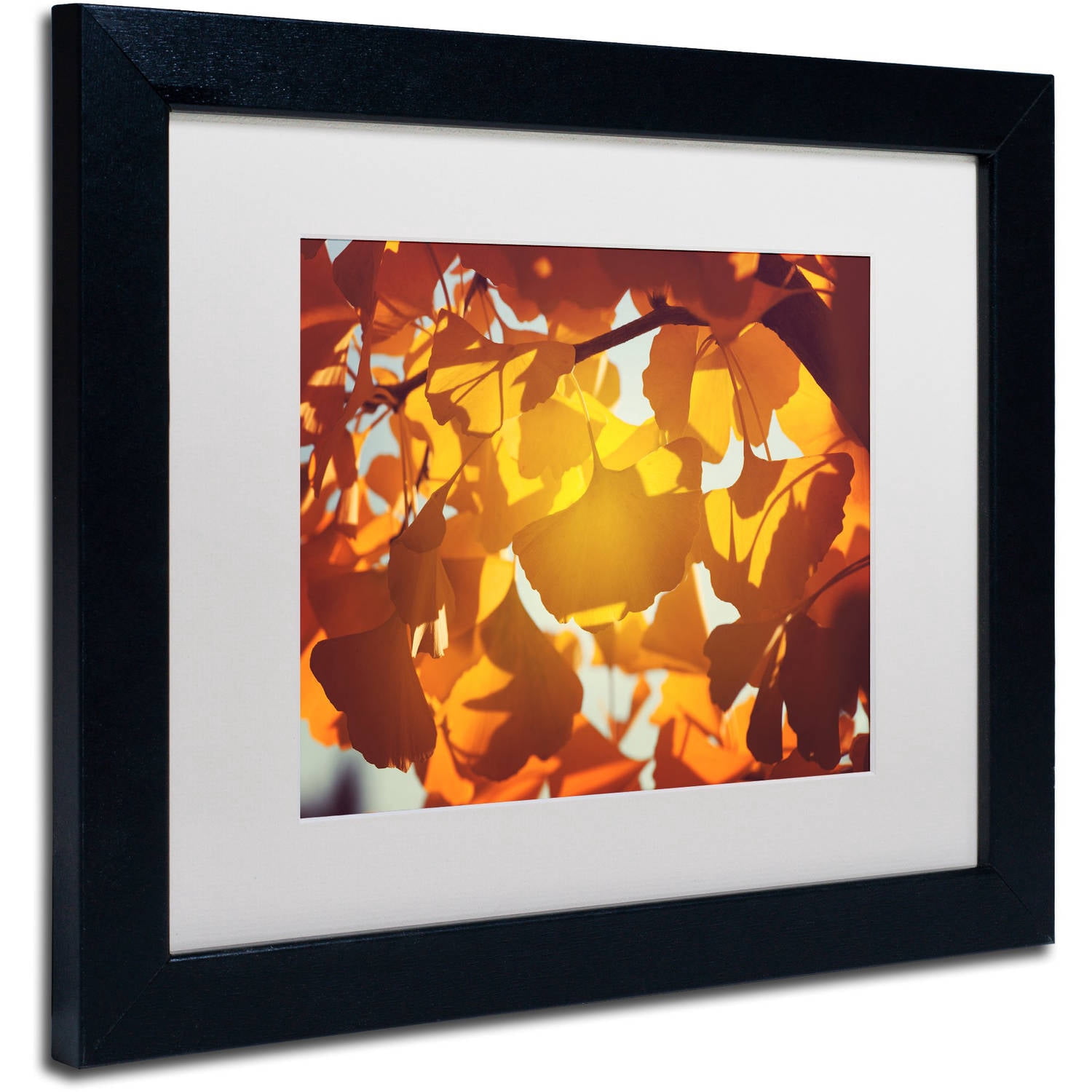 Trademark Fine Art "Ginkgo Leaves" Canvas Art by Philippe Sainte-Laudy White Matte, Black Frame