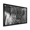 thumbnail image 2 of Designart 'Close Up Scottish Highland Cows Living On Moorland' Farmhouse Framed Art Print, 2 of 4