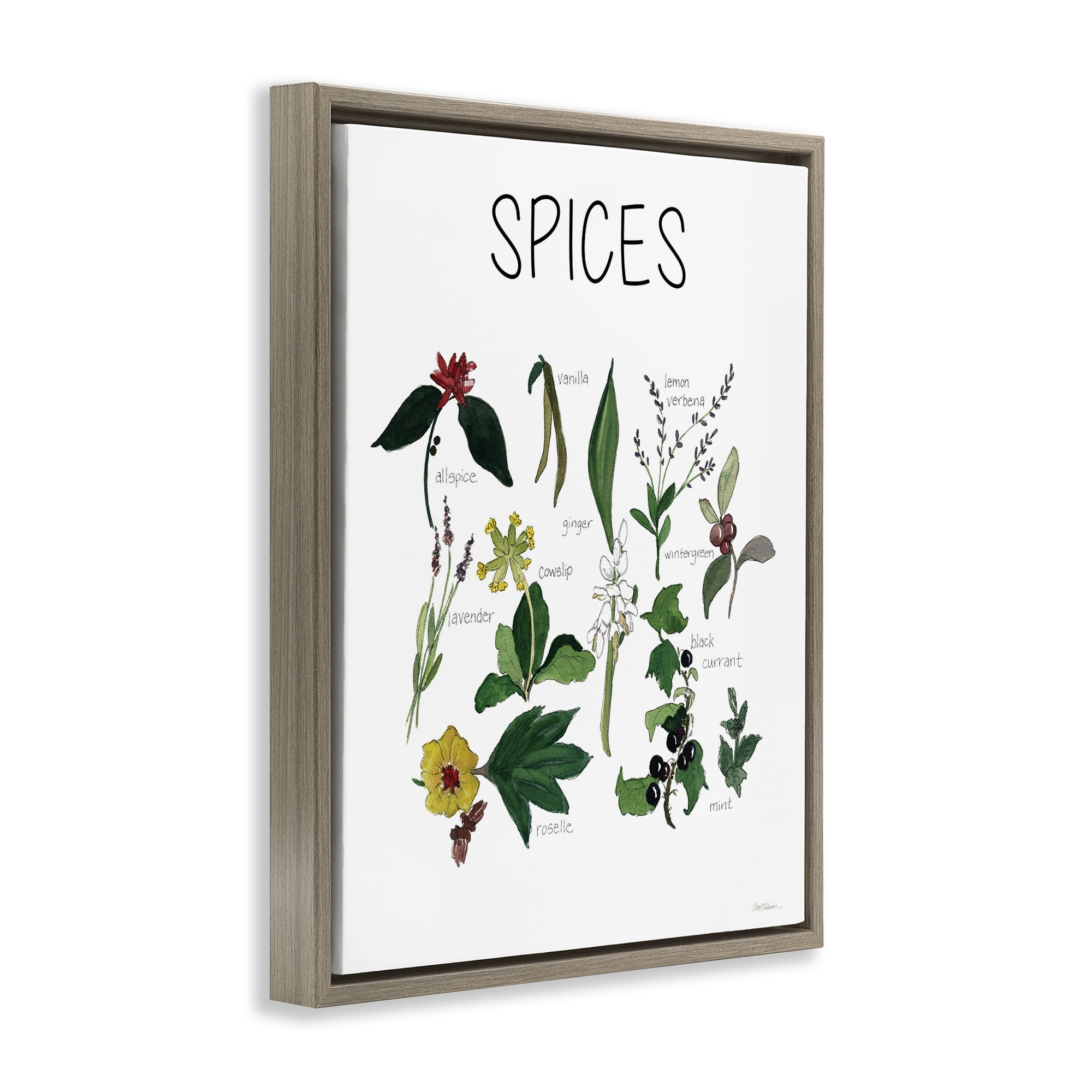 Stupell Industries Spices Identification Chart Brown Framed Floater Canvas Wall Art, design by Carol Robinson
