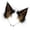 Black brown, variant on Handmade Faux Furs Cats Wolf Foxes Dog Ears Headband Halloween Cosplay Party Costume Furry Ears Hair Hoop Gift