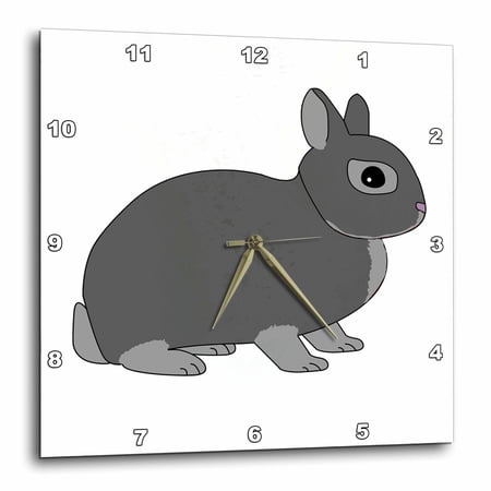 3drose, Netherland Dwarf Rabbit Silver Grey, 10x10 Wall Clock