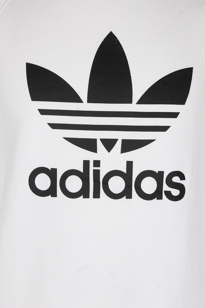 Scheiden hek George Stevenson Adidas Men's Trefoil Logo Graphic Raglan Sleeve Sweatshirt White XL -  Walmart.com