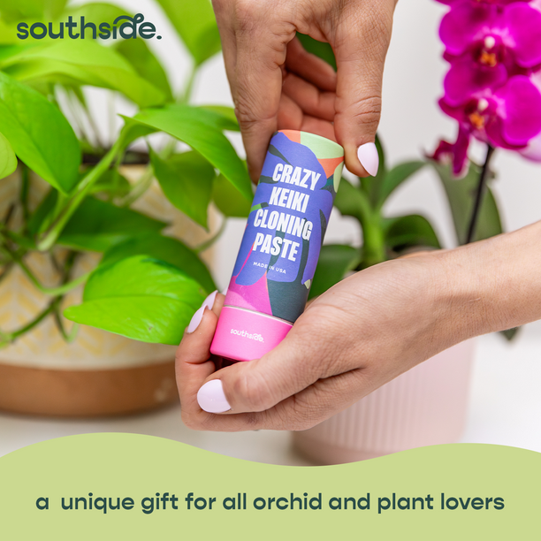 Southside Plants Keiki Cloning Paste - Indoor Growth & Rooting