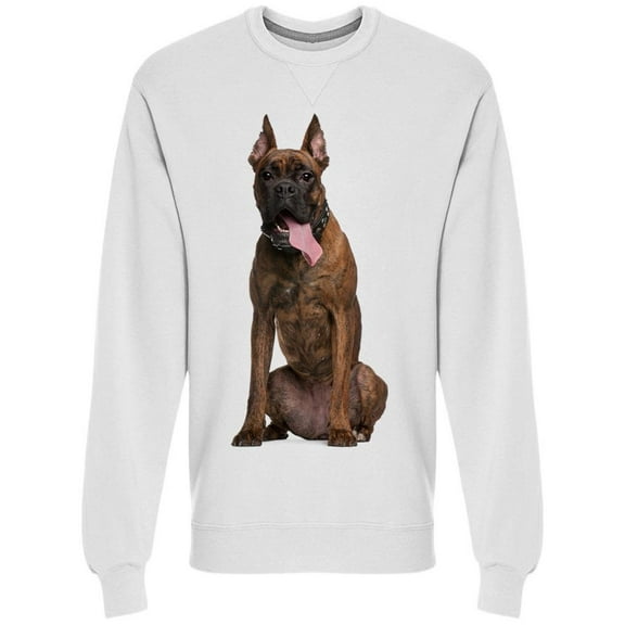 Brindle With Lifting Ears Sweatshirt Men -Image by Shutterstock, Male XX-Large