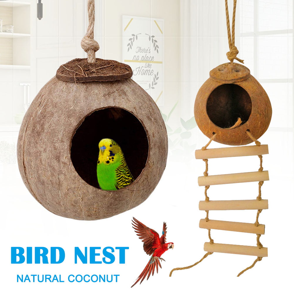 All Natural Coconut shell bird nest Bird Toy 