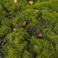 thumbnail image 1 of segolike Ground Grass 50G for Wargame Spring, 1 of 7