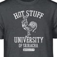 thumbnail image 2 of Teelocity Sriracha Hot Stuff University Graphic T-Shirt (Large - Standard Fit, Charcoal Heather), 2 of 4
