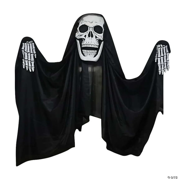 Sunstar Reaper Curtain Halloween Decoration - 9 ft