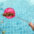 thumbnail image 4 of Pink Pink Telescopic Fishing Net With Collapsible Bucket For Pool Care And Childrens Playtime, 4 of 8