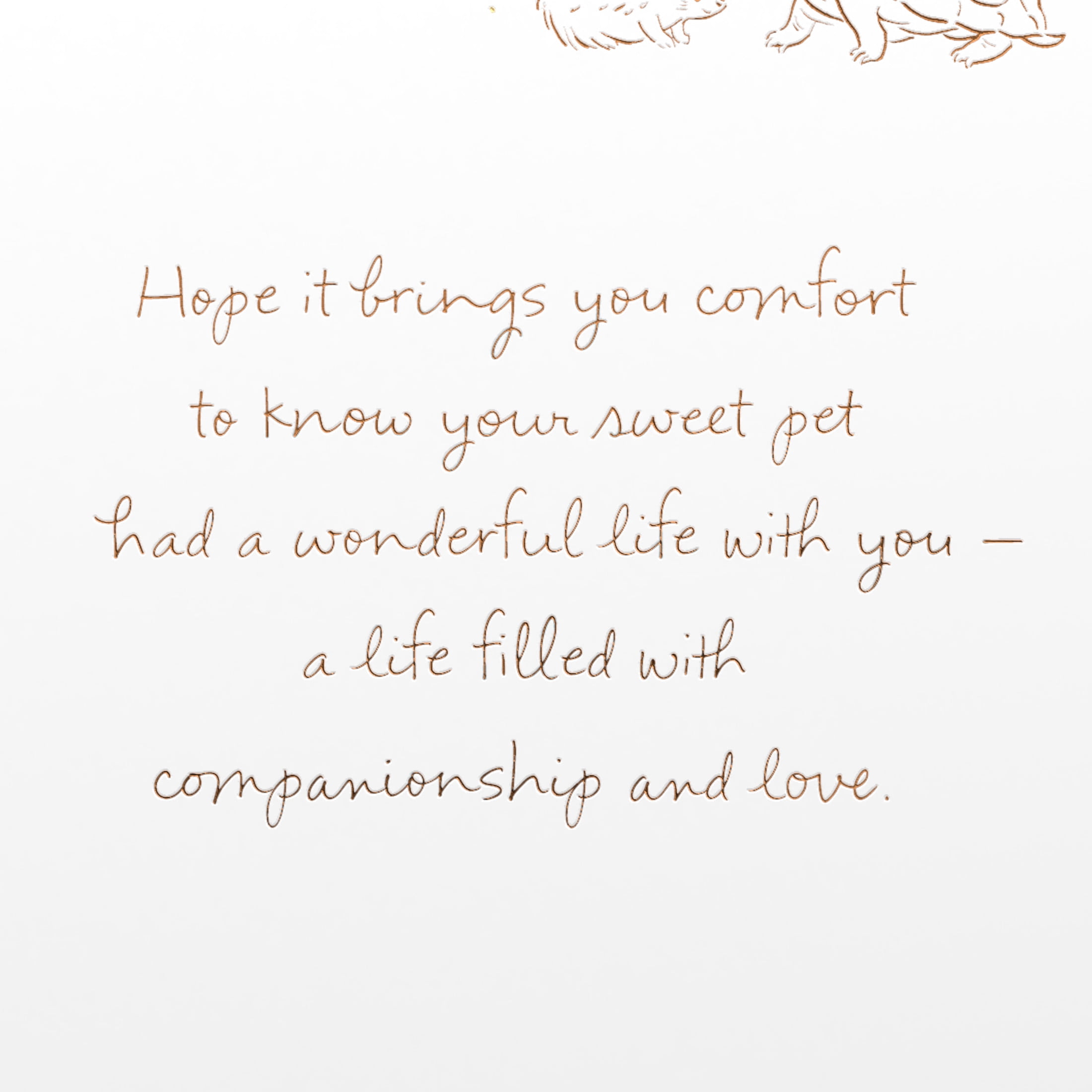 American Greetings Sympathy Card for Loss of Pet (Always in Your Heart)