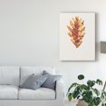thumbnail image 3 of Trademark Fine Art 'Fall Mosaic Leaf I' Canvas Art by Grace Popp, 3 of 4