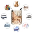 thumbnail image 4 of Balery Sleeping Cat In Blanket Cesta de ropa redonda con asas, impermeable, independiente, para ropa, juguetes, dormitorio y familia-Small, 4 of 6