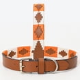 thumbnail image 2 of BAR H EQUINE Western Genuine Leather Dog Collar Embroidered Orange & White, 2 of 6