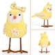 thumbnail image 1 of Decoraciones de Pascua, adornos de Pascua, regalos de Pascua, muñecos de Pascua, decoraciones de pájaros resucitados, exhibidores de ventanas, accesorios, decoraciones festivas, muñeco de pajarito, 1 of 3