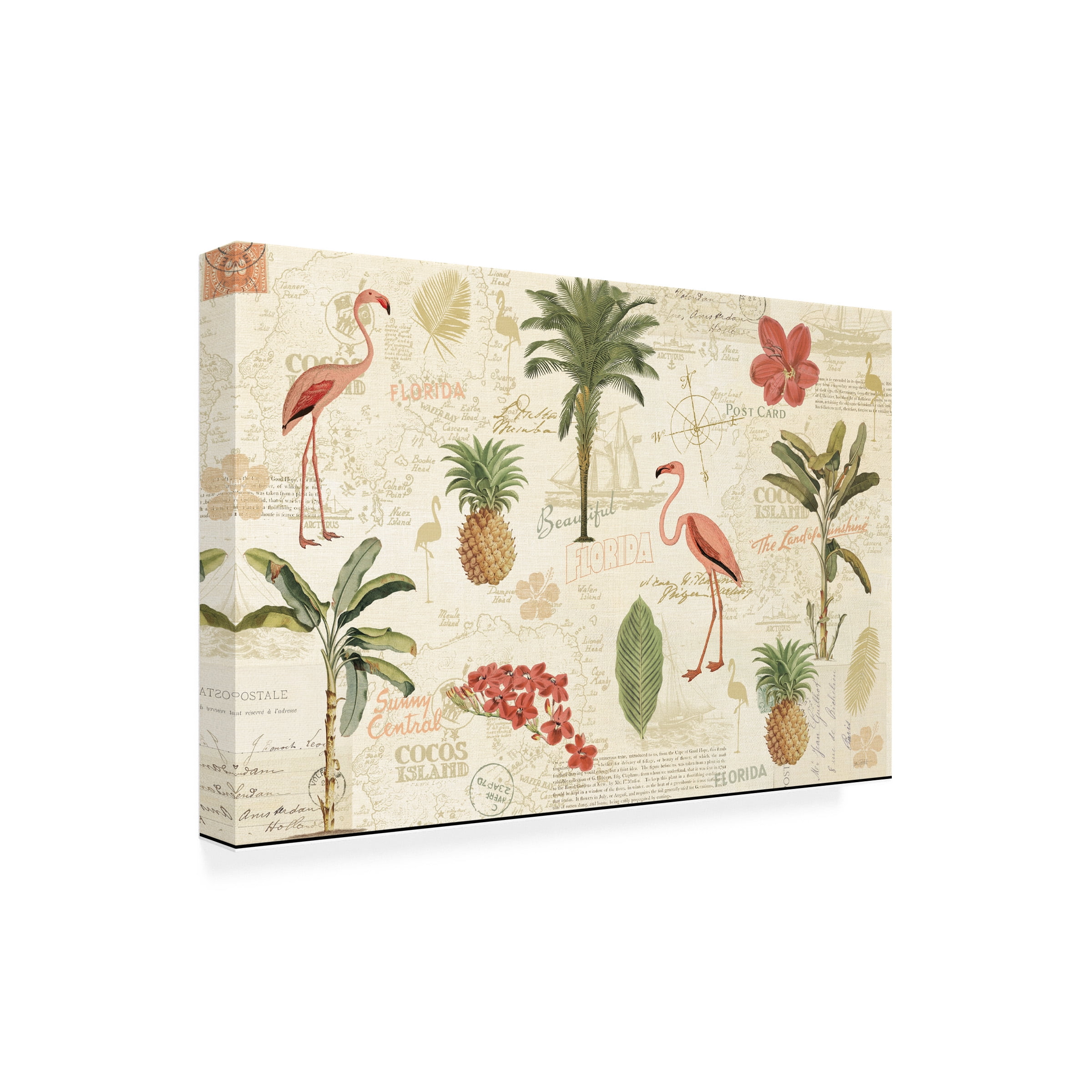 Katie Pertiet 'Floridian VI' Canvas Art