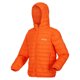 thumbnail image 3 of Regatta - Chaqueta Hillpack para Niños/Niñas (Naranja Fuego), 3 of 3