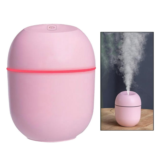 Dvkptbk Humidificateur Portable Mini Petit Atomiseur de Brume USB Humidificateur pour Maison Bureau