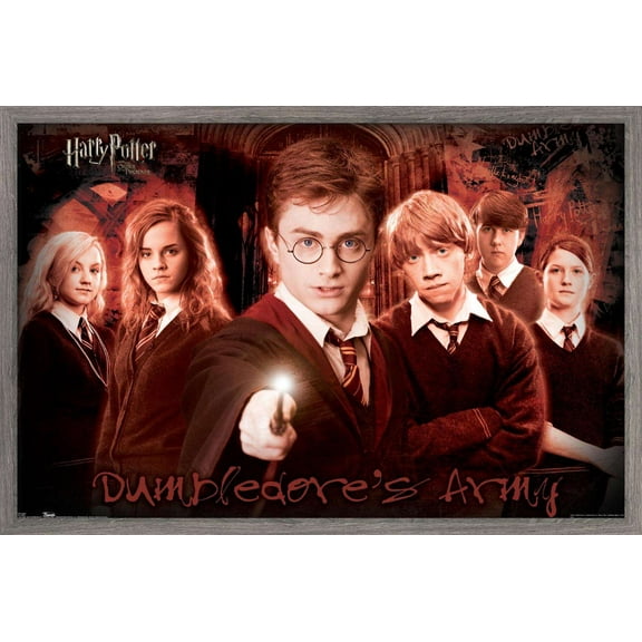 Harry Potter and the Order of the Phoenix - Group Wall Poster, 14.725" x 22.375", Framed