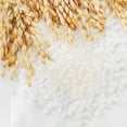 thumbnail image 4 of THE FACE SHOP Shop Rice Water Bright Foaming Cleanser, 4 of 4