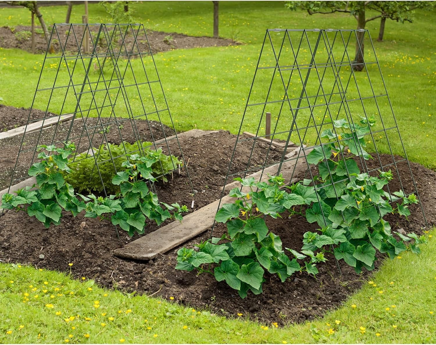 2 Packs 18" x 46" Foldable Cucumber Trellis with Zip Ties Plant Support A Frame Metal Trellis for Cucumber, Climbing Plants, Vegetable Flowers