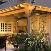 Feit Outdoor Weatherproof String Light Set, Black, 48 ft, 24 Light Sockets