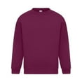 thumbnail image 1 of Absolute Apparel Mens Sterling Sweat, 1 of 4