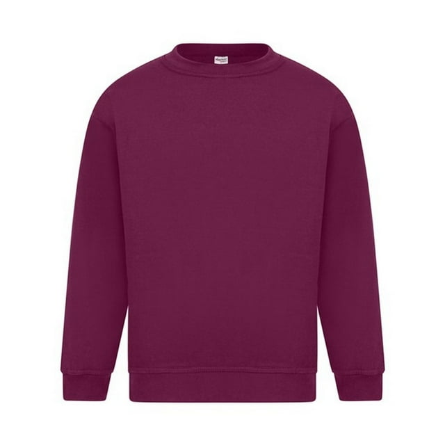 Absolute Apparel Sweat pour Hommes en Argent Sterling