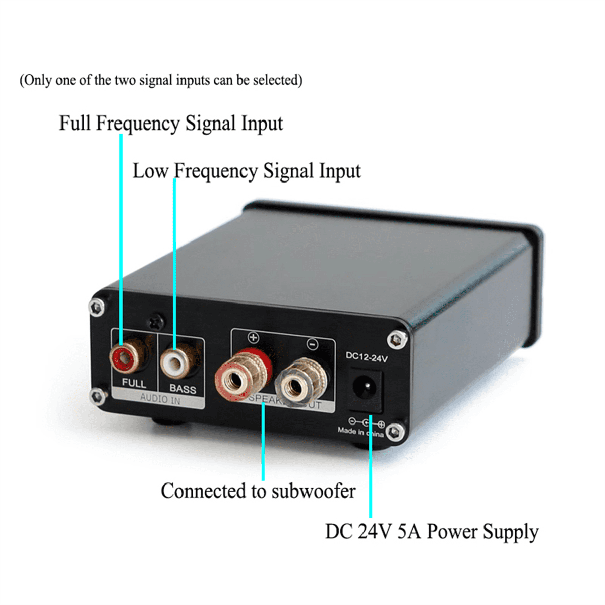 100W D100 TPA3116 Digital Power Amplifier Single Sound Channel Class D Desktop Subwoofer for Home Audio Stereo System
