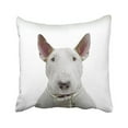 thumbnail image 1 of RYLABLUE Cute Cattle Head Stems In Gold Collar Decorative Pillowcases With Hidden Zipper Decor Cushion Covers Two Sides 20x20 inches, 1 of 1
