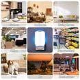 thumbnail image 5 of Indoor Flying Insect Trap, Plug-in Light Source Fruit Fly & Gnat Catcher for Kitchen, Home & Office, Family & Pet Friendly with 5 Refill Glue Boards, 5 of 9