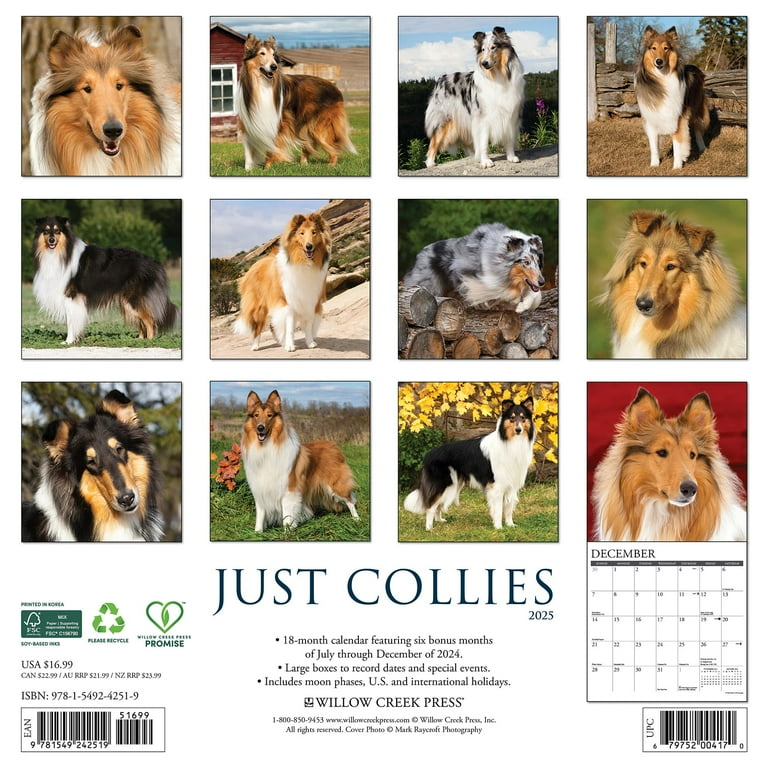 第一ネット Collies 2025 Walmart.com - Calendar Wall Pets&AnimalCare