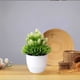 thumbnail image 4 of Flores artificiales, bonsáis artificiales en maceta, macetas de plástico para sala de estar, comedor, mesa de TV, mueble de centro, decoración, adornos, flores artificiales, bonsáis, plantas, 4 of 9
