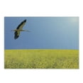 thumbnail image 1 of Yellow and Blue Cutting Board, Alone Stork Flying in Clear Sky over Spring Flowering Field Freedom Picture, Decorative Tempered Glass Cutting and Serving Board, Small Size, Multicolor, by Ambesonne, 1 of 1