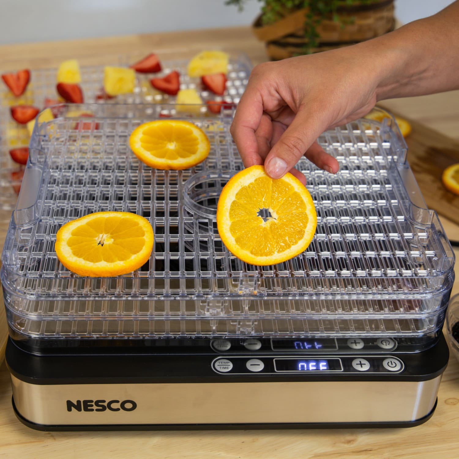 NESCO 5-Tray Rectangular Food Dehydrator, 420W Adjustable Temp