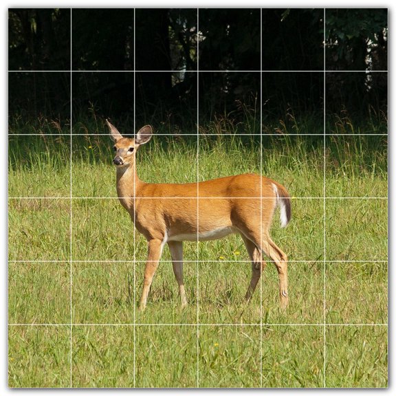 Picture-Tiles.com: Deer Ceramic Tile Wall Mural WAL500456-66S. 25.5"W x 25.5"H using (36) 4.25" x 4.25" Ceramic Tiles-Satin Finish