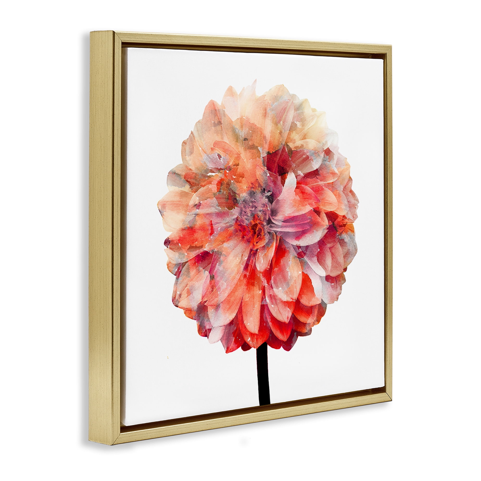 Stupell Industries Bright Coral Watercolor Bloom Botanical & Floral Painting Gold Floater Framed Canvas Art Print Wall Art, 18 x 18