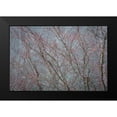thumbnail image 2 of Mahan, Kathy 14x11 Black Modern Framed Museum Art Print Titled - Winter Tree Limbs II, 2 of 5