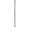 thumbnail image 4 of Vickerman 56" Artificial White Wisteria And Foliage Hanging Spray, 4 of 5