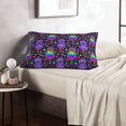 thumbnail image 5 of Plush Throw Pillow Covers, Flamboyant Colorful Owls Pillow Cases with Invisible Zipper, Breathable Microfiber Pillow Cases Standard Size for Sleeping Bedroom Sofa Living Room 16x24, 5 of 5
