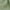 Army Green2, variant on lmcalzta Sweatpants for Women Trendy Drawstring High Waisted Loose Joggers with Pockets Fall Winter Comfy Fleece Workout Gym Running Trousers