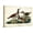 Canvas, variant on Art.com Audubon Ducks II Art Print by John James Audubon, 18" x 12"