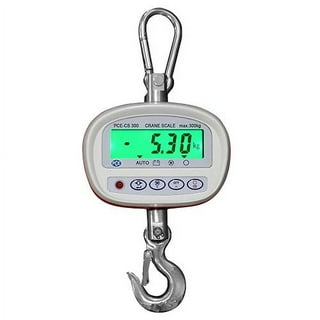 Blavna Mechanical Hanging Scales, Hanging Weight 440Ib/200Kg, Mechanical  Kitchen Weighing Food Scale, Spring Dial Hanging Game Scales for Farms