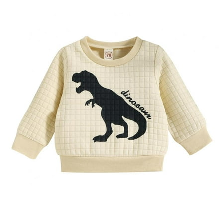

Xinhuaya Toddler Boys Sweatshirts Long Sleeve Sweat Shirt Dinosaur Pullover Crewneck Tops Tees 0-24 Months
