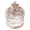 3.3x4.1in, variant on Glass Candy Jar,Candy Bowl Jars with Lids,Transparent Glass Candy Dish with Lid for Home Party Wedding Decor Big Promotion Kilougeis