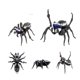 thumbnail image 1 of En estante Bandai Gashapon simulado Pavo Real araña biología Atlas serie simulado insecto Animal marca nueva figura de acción genuina xuanjing  unisex, 1 of 2