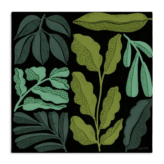 Stupell Industries Plant Sprig Collage Plants & Flowers Painting Wrapped Canvas Art Print Wall Art, 17 x 17