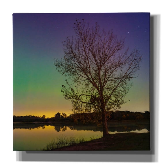 Epic Graffiti 'Tree Under Aurora Borealis' by Epic Portfolio Canvas Wall Art, 26" x 26"